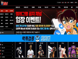 코난 카지노 먹튀 피해 사례: 안전한 베팅을 위한 교훈과 예방책