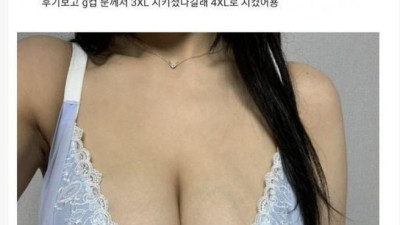 H컵녀의 쇼핑몰 브라 후기